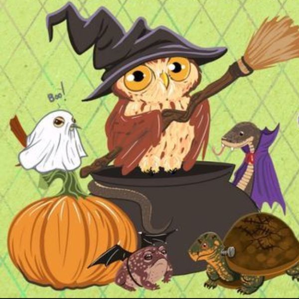 5th Annual MS Wildlife Rehabilitation Trunk-or-Treat